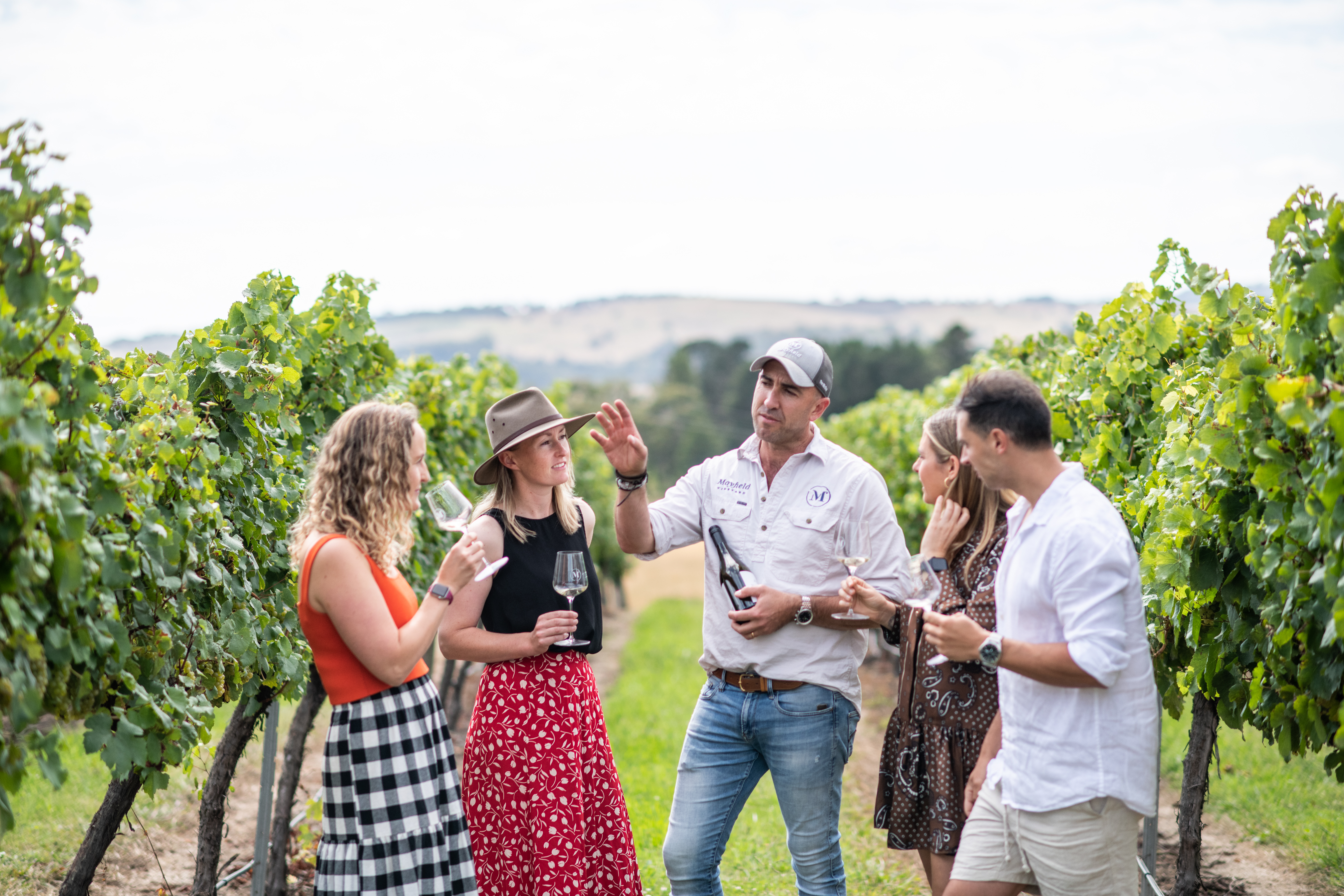 People enjoying wine in the Mayfield vineyards 